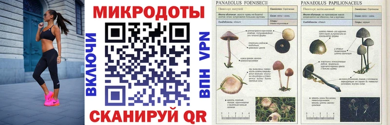 Галлюциногенные грибы прущие грибы  mega ТОР  Балаково 