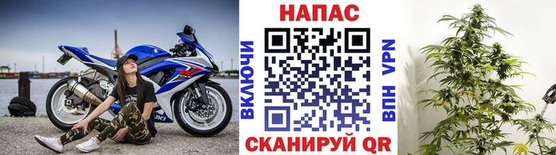 купить  сайты  Балаково  MEGA вход  Бошки марихуана гибрид 
